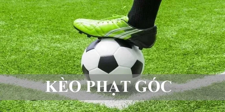 Khám Phá Bí Quyết Chơi Kèo Phạt Góc Bóng Đá: Cùng nhandinhkeonhacai.info Tìm Hiểu 2 Khám Phá Bí Quyết Chơi Kèo Phạt Góc Bóng Đá: Cùng nhandinhkeonhacai.info Tìm Hiểu